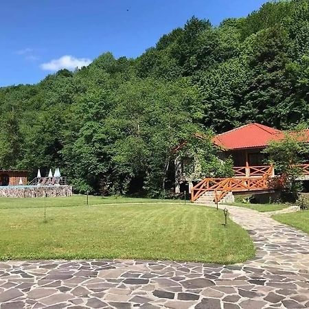 Rodnikovka Darino 아파트 외부 사진